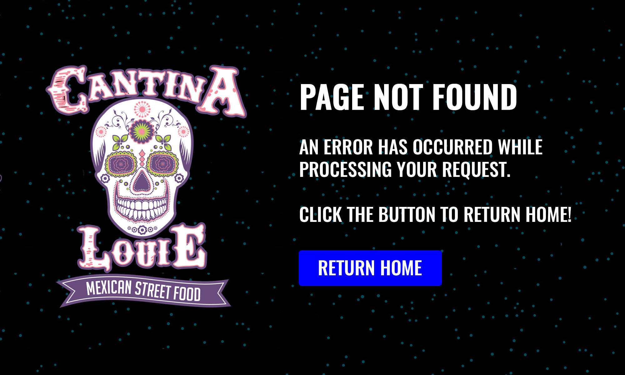 404 Error Page